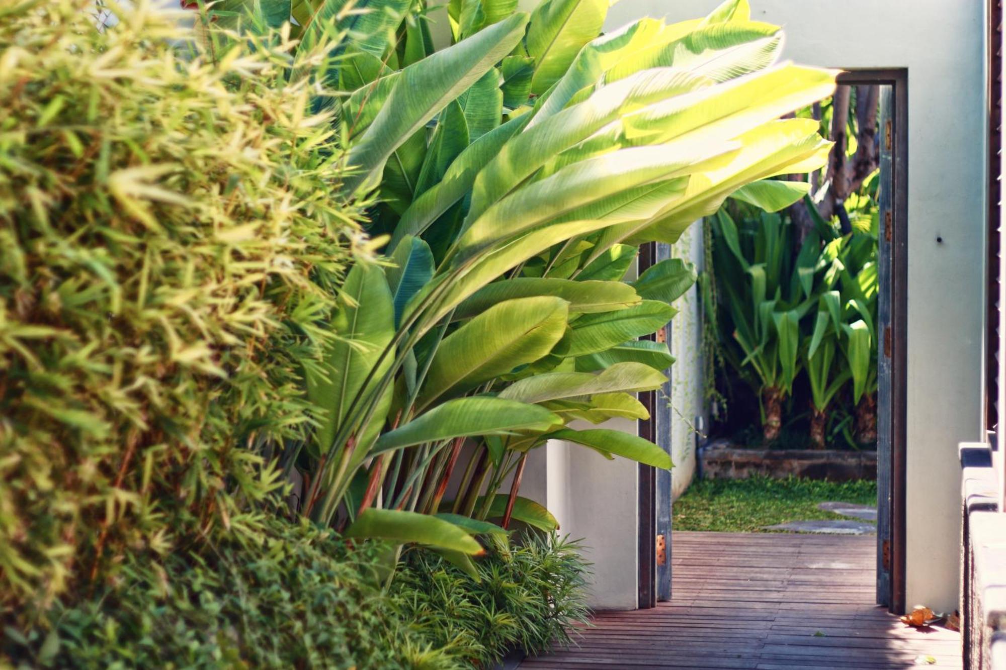 Hu'U Villas Seminyak Pokoj fotografie